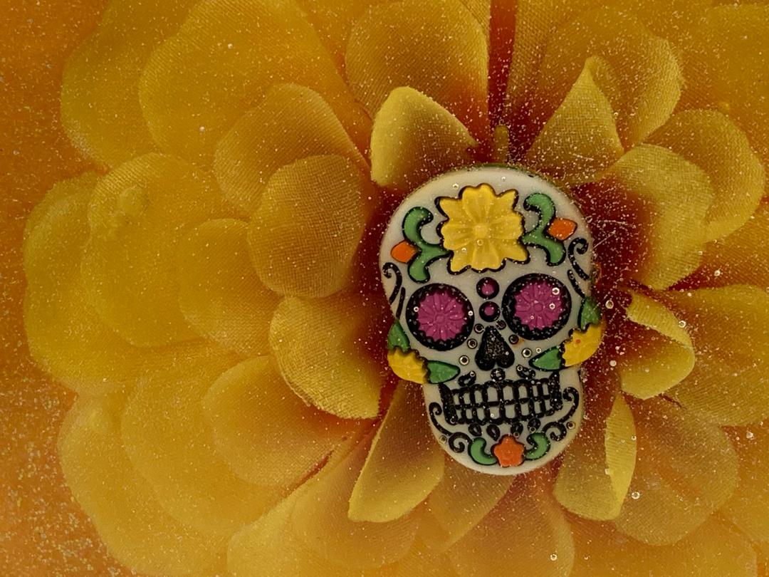 Sugar Skull blooming in a Marigold